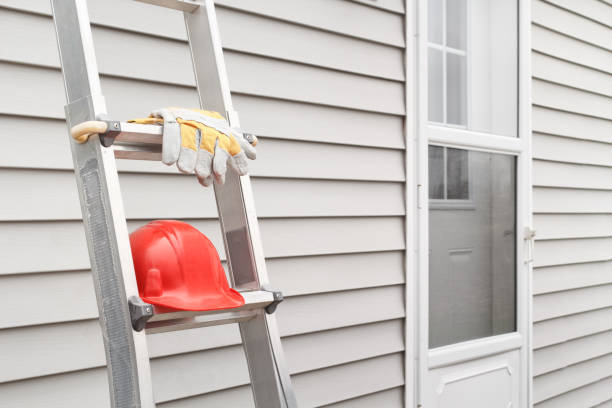 Best Aluminum Siding Installation  in Meadow Vista, CA