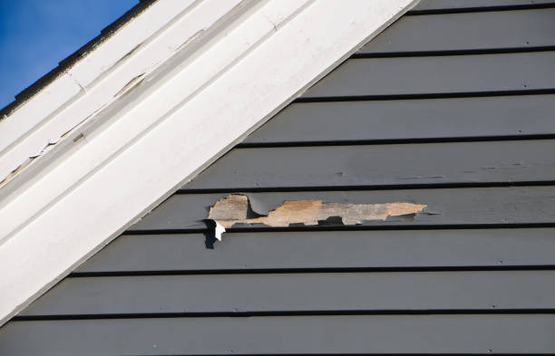 Best Wood Siding Installation  in Meadow Vista, CA