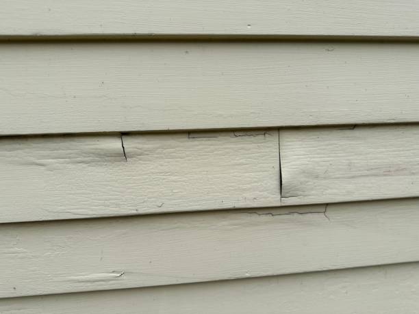Best Stucco Siding  in Meadow Vista, CA